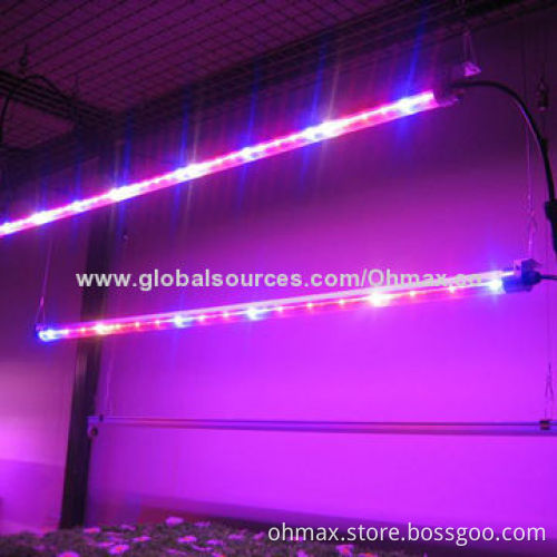 36W Water-resistant LED Grow Light for Indoor Gardening, Urban Farming and Nursery Plants Growth